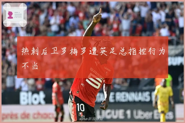 热刺后卫罗梅罗遭英足总指控行为不当