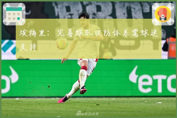 埃梅里：完善球队攻防体系需球迷支持