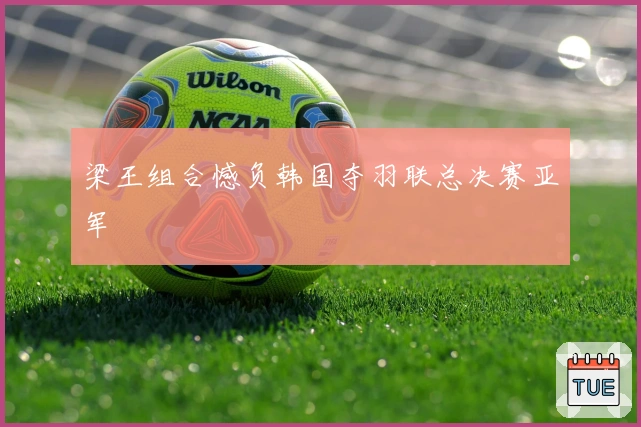 梁王组合憾负韩国夺羽联总决赛亚军